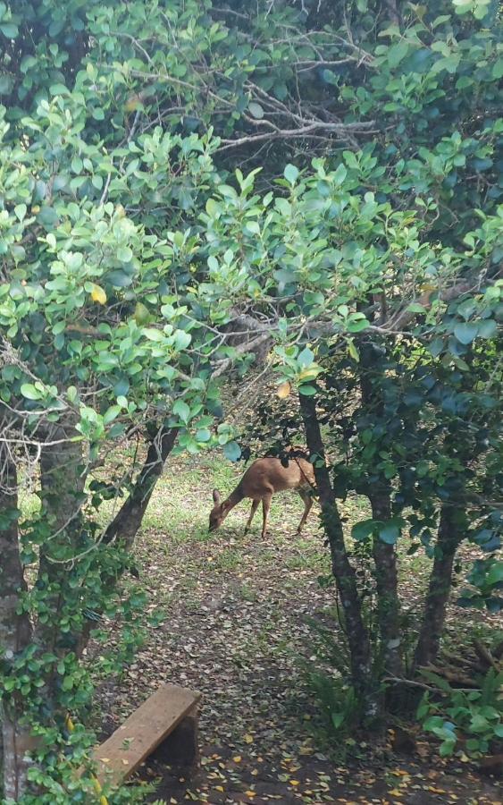 Entre Et Foret House Garden Route