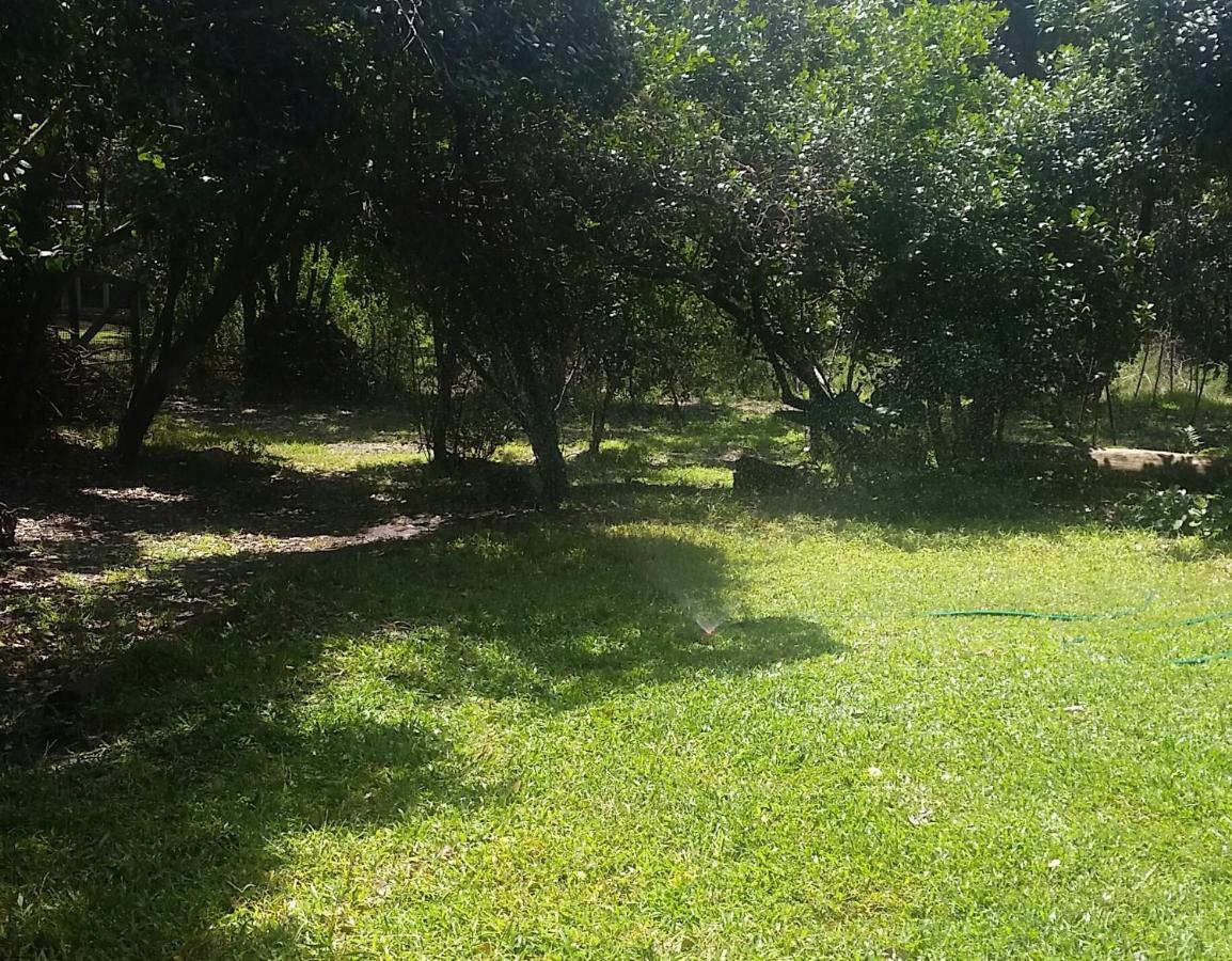 Entre Et Foret House Garden Route Holiday home *